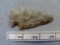 Hopewell Point - 2 3/4 in. - Flint Ridge Flint
