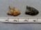 Two Paleo Points - 1 1/4 in. / 1 1/2 in.