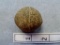 Plummet - 1 1/4 in. - Granite - Greenup, Kentucky