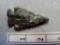 Archaic Bevel - 2 in. - Coshocton Flint