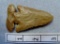 Archaic Expanded Notch Point  - 2 3/4 in.