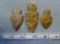 Three Adena Points - 1 3/4  / 2 3/4 in. - Carter