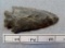 Notched Base Point - 3 1/4 in. - Ind/Hornstone