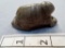Turtle Effigy Gorget - 2 1/2 in. - Tan Ohio
