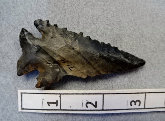 Notched Base Archaic Bevel - 3 in. - Coshocton