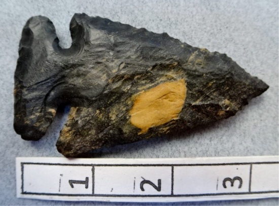 Archaic Bevel - 3 1/4 in. - Coshocton