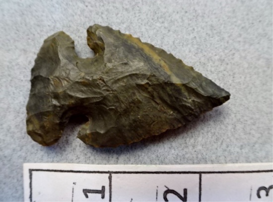 Archaic Bevel - 2 1/4 in. - Coshocton