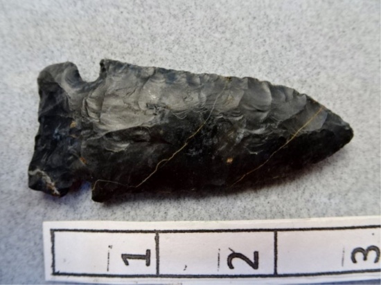 Archaic Side Notch Point - 2 3/4 in. - Coshocton
