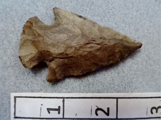 Hopewell Point  - 2 1/2 in. - Gray Chert