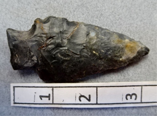 Archaic Bevel - 3 1/4 in. - Coshocton Flint