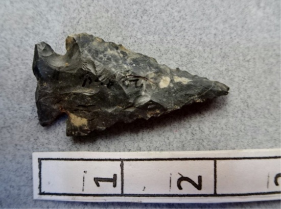 Archaic Bevel - 2 in. - Coshocton Flint