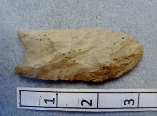 Paleo Point - 3 in. - Coshocton Flint