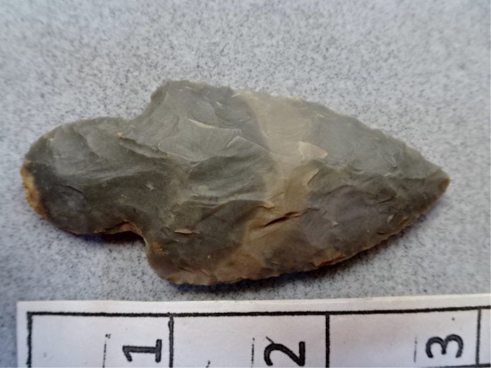 Adena Point - 2 3/4 in.- Hornstone - Brake Co.