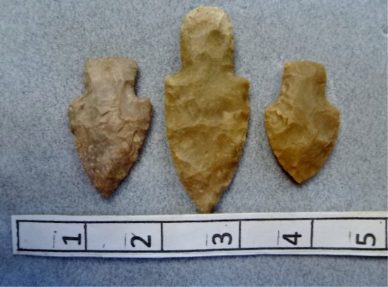 Three Adena Points - 1 3/4  / 2 3/4 in. - Carter