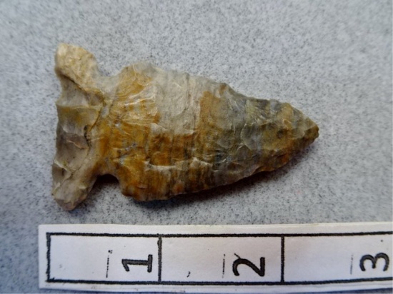 Archaic Side Notch - 2 1/2 in.- Coshocton Flint