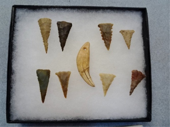 Frame of Eight Ft. Ancient Points & Drilled Bear
