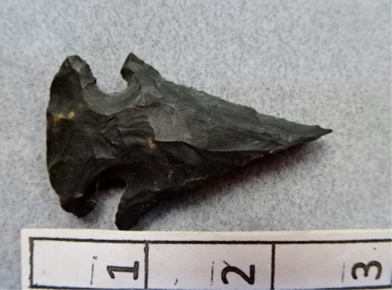 Archaic Bevel - 2 1/4 in. - Coshocton Flint