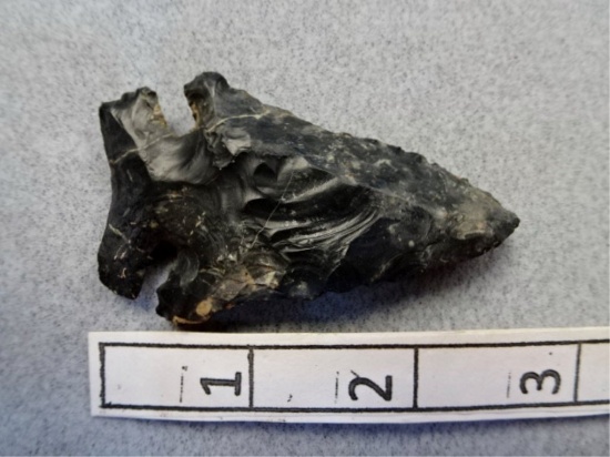 Archaic Bevel  - 2 1/2 in. - Coshocton Flint