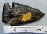 Archaic Bevel - 3 1/4 in. - Coshocton