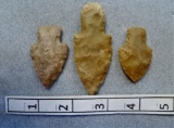 Three Adena Points - 1 3/4  / 2 3/4 in. - Carter
