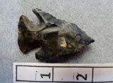 Archaic Bevel - 2 in. - Coshocton Flint