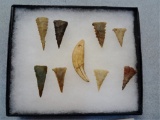Frame of Eight Ft. Ancient Points & Drilled Bear