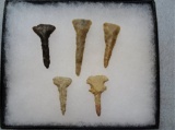 Frame of Five Drills - 1 / 1 1/2 in.- Various