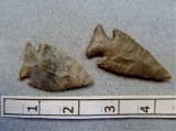 Two Intrusive Mound Points - 2 / 2 1/4 in.