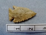 Serrated Corner Notch Point - 2 in - Chert