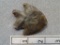 Bifurcated Point - 2 in. - Coshocton Flint