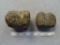 Two Hammerstones - 2 1/2 in.- Hardstone