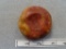 Discoidal - 2 1/2 in. - Quartzite - Clay Co.