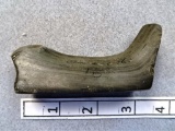 Salvaged Birdstone - 4 1/2 in. - Banded Slate