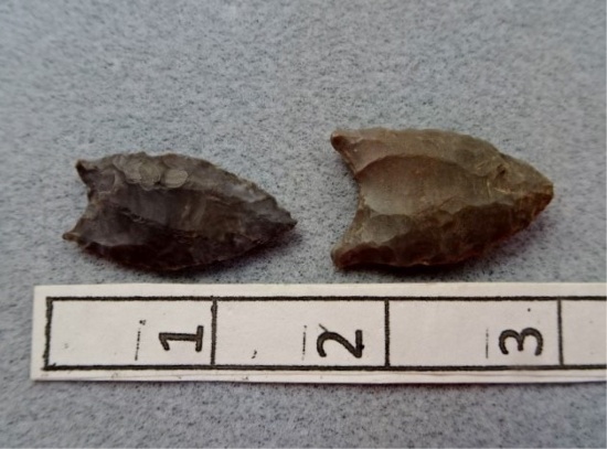 Two Paleo Points - 1 1/4 in. - Coshocton Flint
