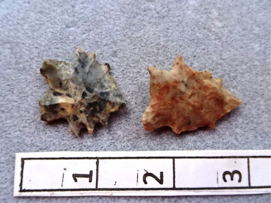 Two Bifurcates - 1 1/4 in. - Flint Ridge Flint