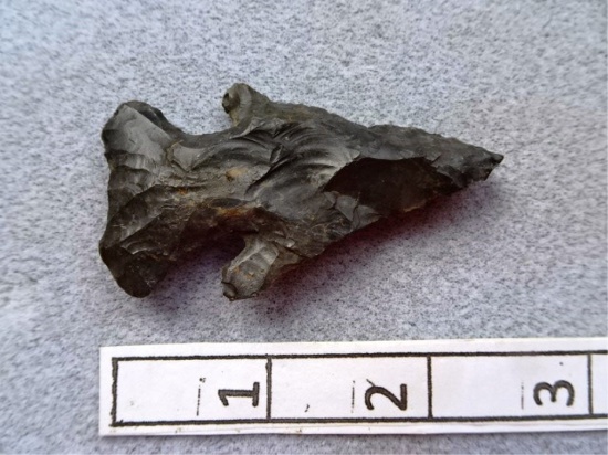 Archaic Bevel - 2 1/2 in. - Upper Mercer Flint