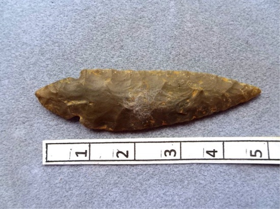 Turkeytail Point - 5 in. - Hornstone