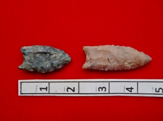 Two Fluted Points - 1 3/4 / 2 1/2 in. - Flint