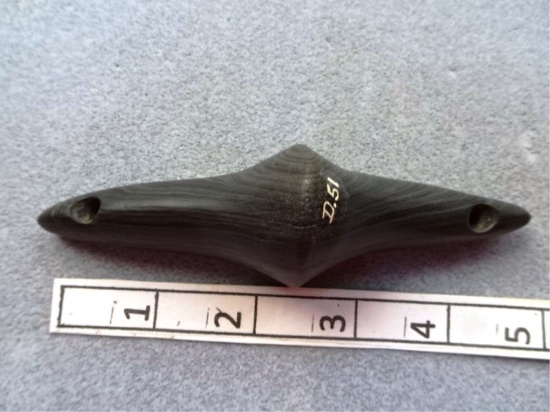 Lizard - 5 in - Banded Slate - Cessna Twp. -