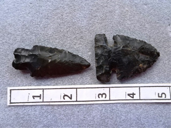 Two Ohio Points - 2 1/4 in. - One Heavy Duty