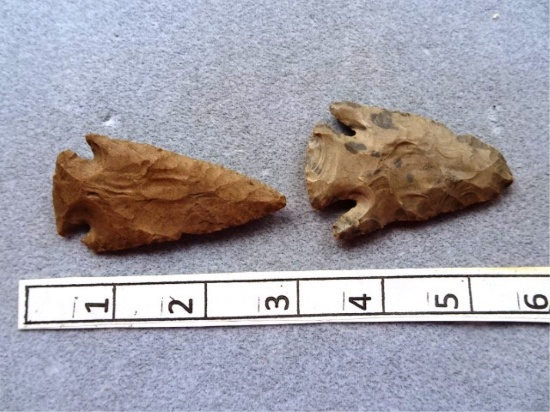 Two Archaic Corner Notch Points - 3 1/2 in.