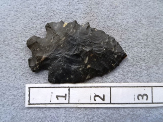 Bifurcated Point  - 2 1/2 in. - Coshocton Flint