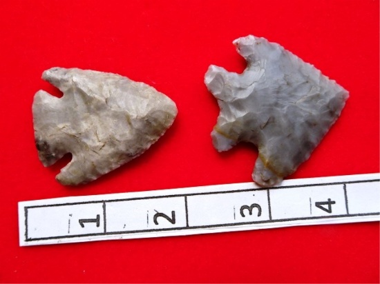 Two Archaic Bevels - 1 3/4 in. - one is Flint