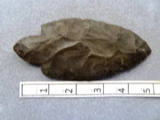 Turkeytail Point - 5 1/4 in. - Hornstone