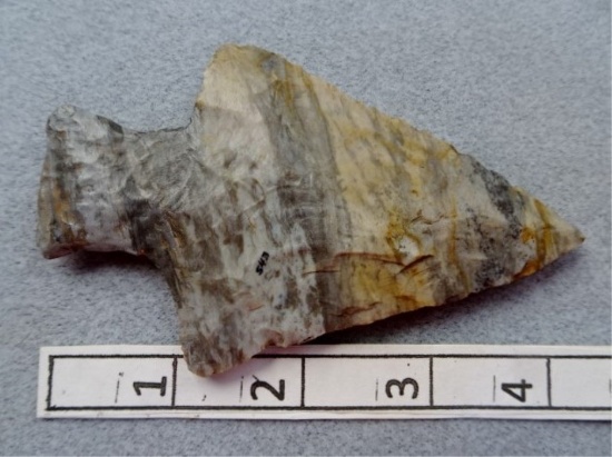 Ashtabula Point - 4 1/2 in. - Coshocton Flint