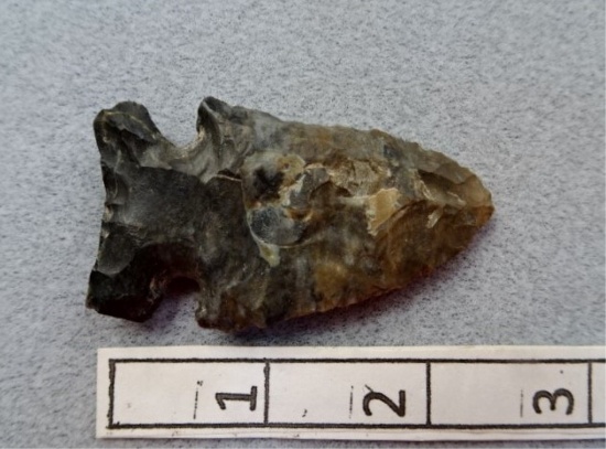 Archaic Side Notch - 2 1/2 in. - Coshocton Flint