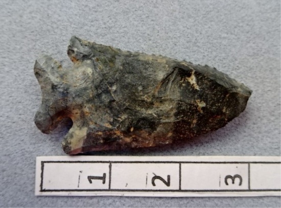 Archaic Bevel - 3 in. - Coshocton Flint
