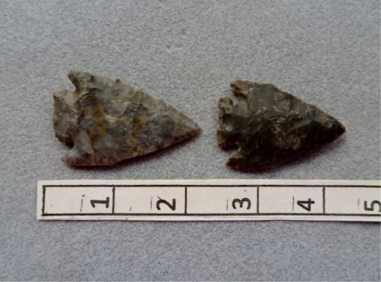 Two Pentagonal Points - 1 3/4 in. - Coshocton