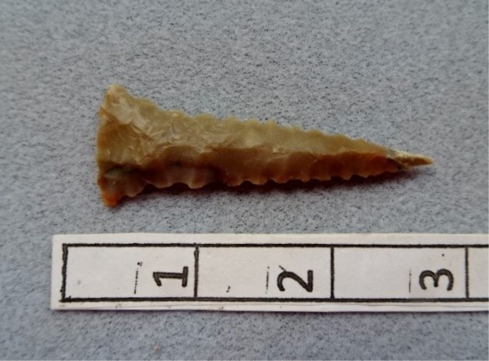 Ft. Ancient Triangle - 2 1/2 in. - Carter Cave