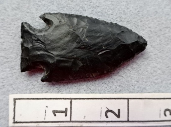 Intrusive Mound Point - 2 1/4 in. - Coshocton